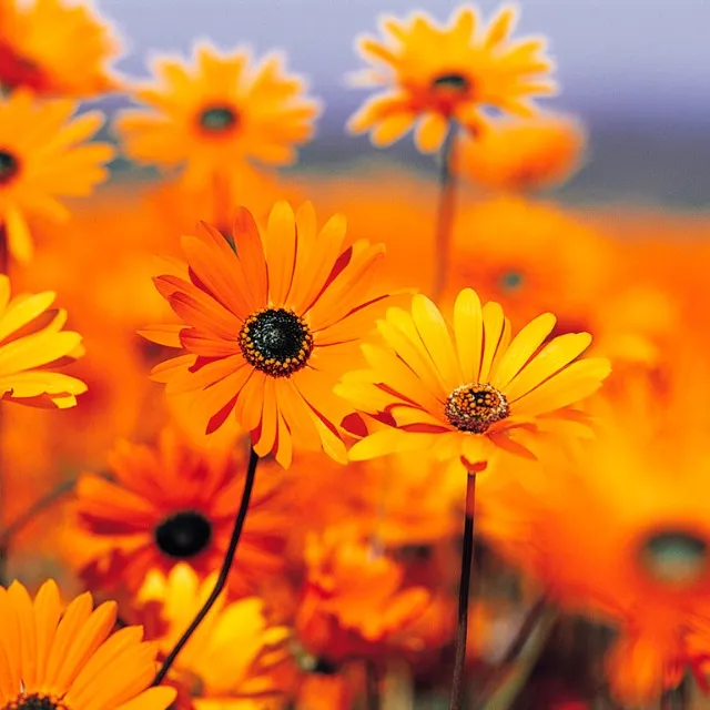 bonne jardinage