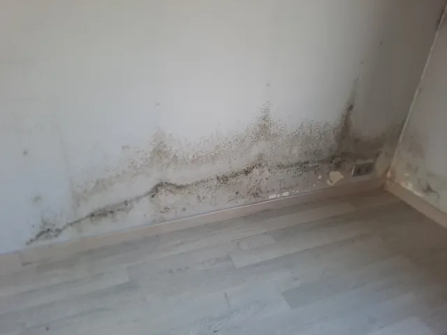 Humidité