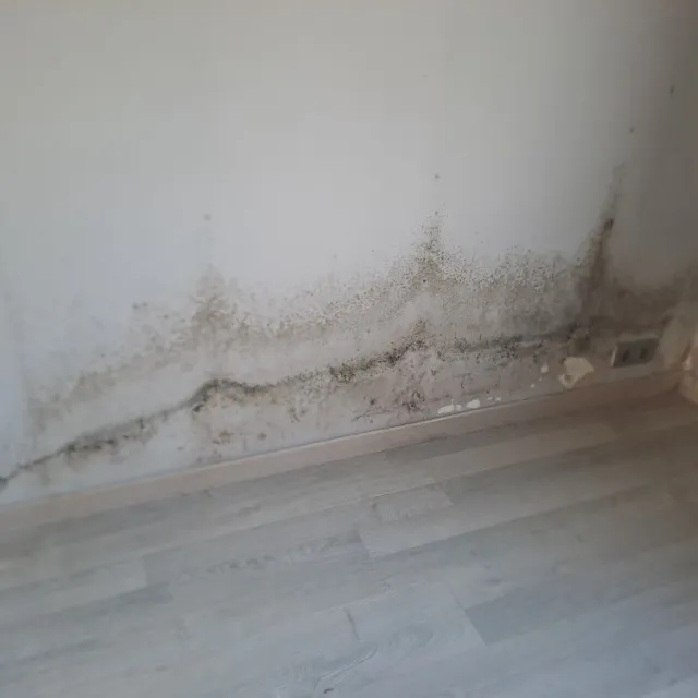 Humidité
