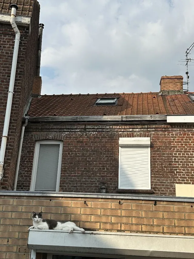 Changer un Velux en chien assis