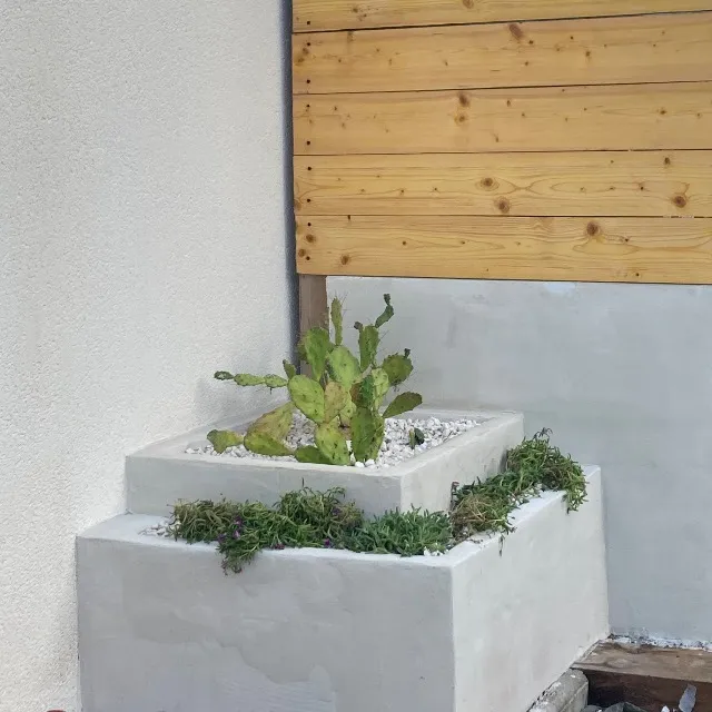 Jardinière et cactus 🌵