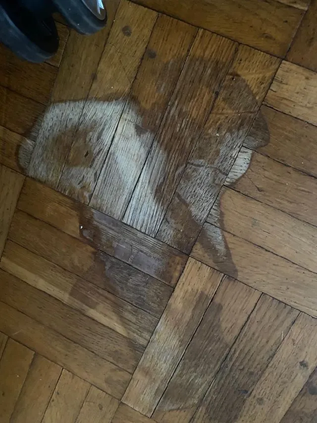 tache d'eau de javel sur un parquet